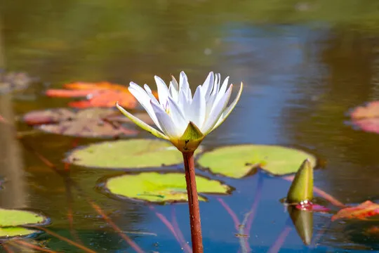 冷热号分析图表示例